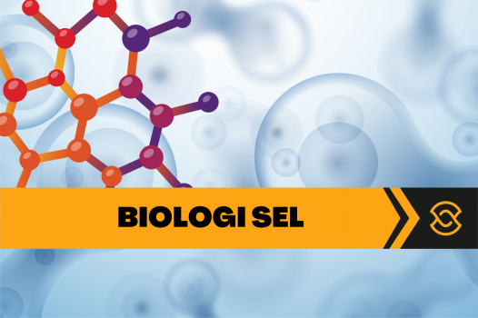 BIOLOGI SEL