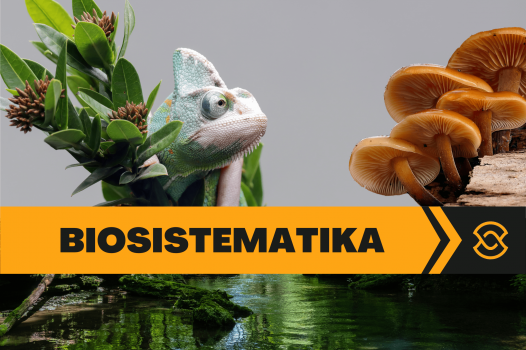 BIOSISTEMATIKA