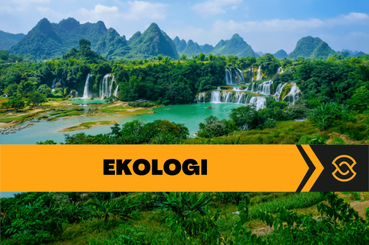 EKOLOGI