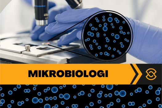 MIKROBIOLOGI