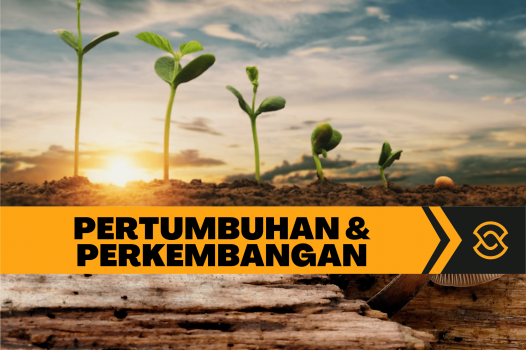 PERTUMBUHAN DAN PERKEMBANGAN